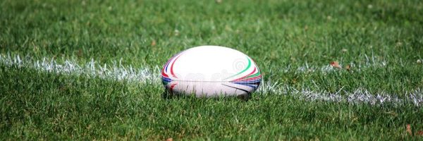 rugby-ball-green-field-116781759